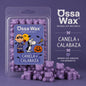 Ossa Wax Melts, "Canela y Calbaza"